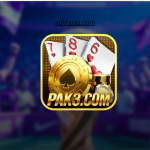 PAK3 Game Download
