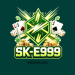 SK-E999 Game Download